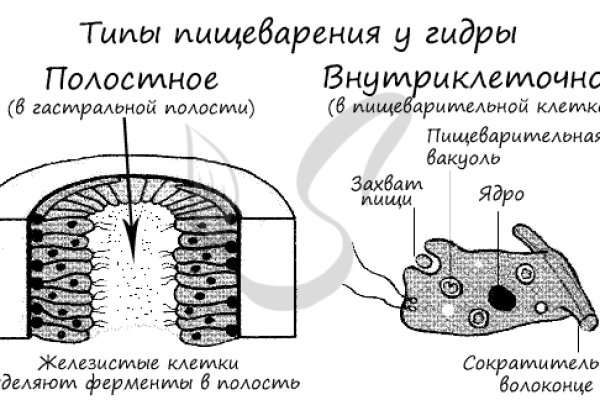 Наркотики заказать