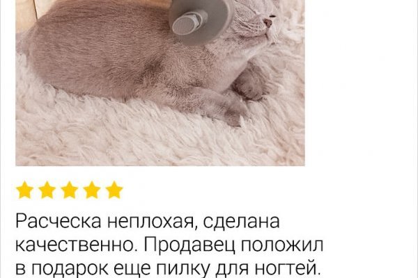 Сайты продаж наркотиков