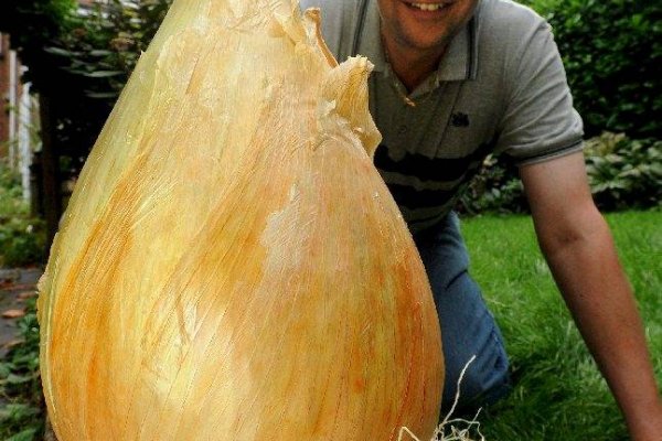 Кракен зеркало ссылка онлайн
