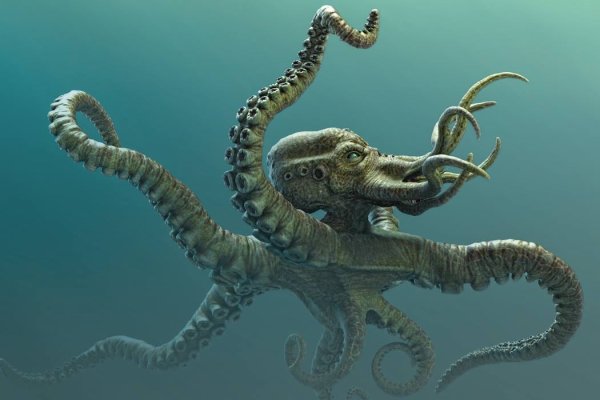 Hydra kraken